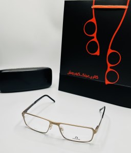 عینک طبی مردانه رودن استوک RODEN STOCK